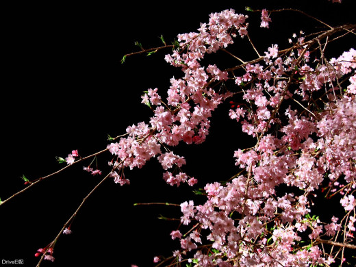 431947 (a): :1600x1200